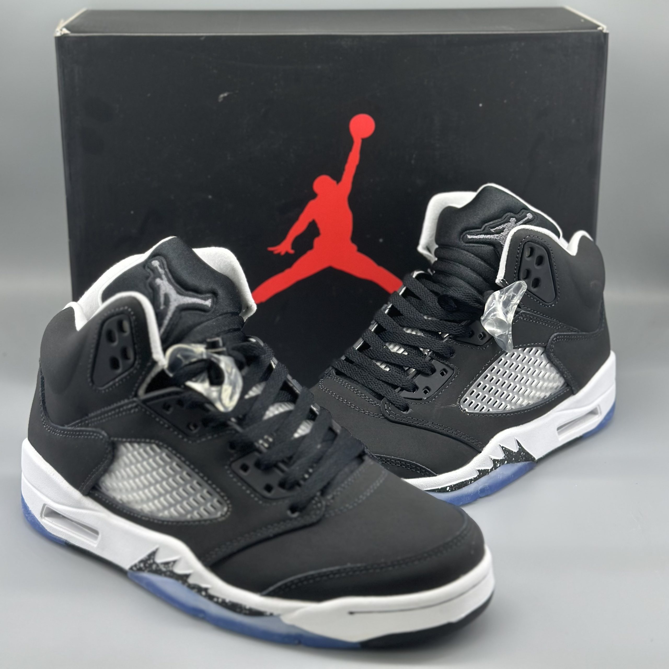 Jordan 5 Retro Moonlight (2021)