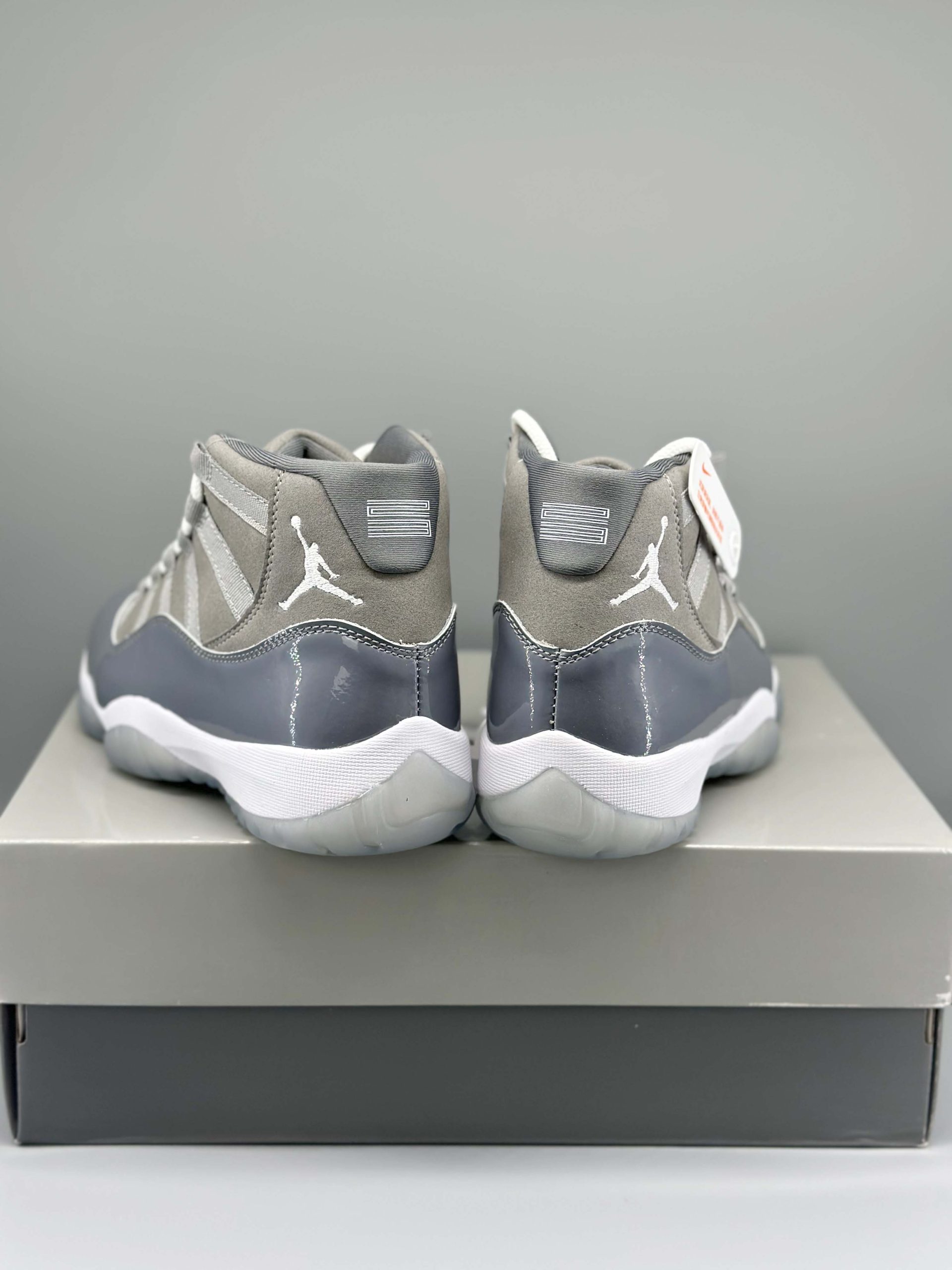 Jordan 11 Retro Cool Grey (2021)